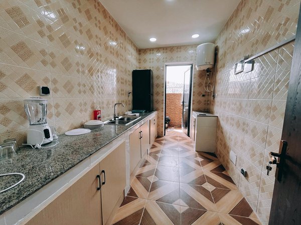 Comment choisir les plantes idéales pour un jardin vertical en intérieur?